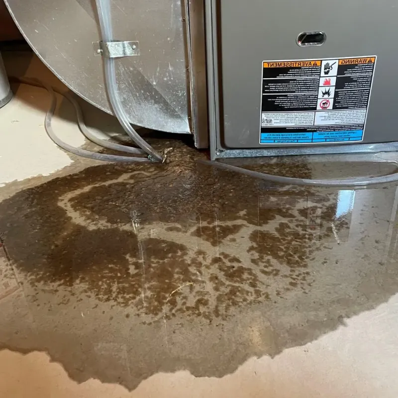 Pipe Burst and Leak Restoration in Springville, UT
