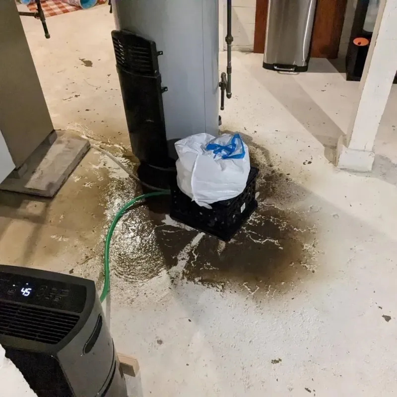 Sewage Backup Cleanup Service in Springville, UT